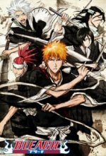 Bleach Cover