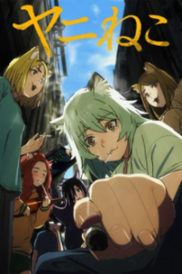 Cover Chainsmoker Cat, Poster Chainsmoker Cat, DVD