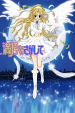Staffel 1 Cover, Poster