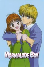 Cover Marmalade Boy, Poster Marmalade Boy