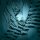 User 2c4k3, Profilbild, Avatar