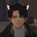 Profilbild Sunami, Avatar