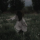 User Mansingmarkus, Profilbild, Avatar