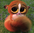User Nya-nami, Profilbild
