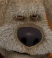 User DieSchlingel, Profilbild