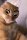 User 6_9, Profilbild, Avatar