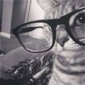 Profilbild Mertix, Avatar