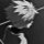 User xepz, Profilbild, Avatar