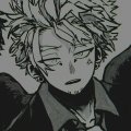Hawks_lover
