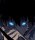 Profilbild 8iqWhxzt5efsHN6A8NoE-archived-bZIRkHSR2Y3kXXhitAr8, Avatar