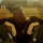 Profilbild DaichiNexo, Avatar