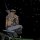 User Fluxxii, Profilbild, Avatar