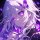 User Chotto, Profilbild, Avatar