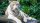 User Micheru, Profilbild, Avatar