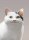 User Nescafe, Profilbild, Avatar