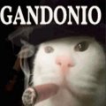 Profilbild Vinnypunny, Avatar