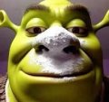 Profilbild snorro, Avatar